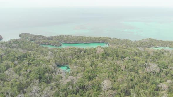 Aerial: flying over tropical sea pristine coastline rainforest turquoise lagoon