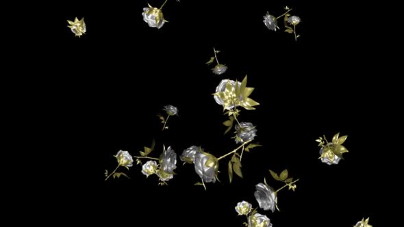 Falling Roses - Silver and Gold - Transparent Loop