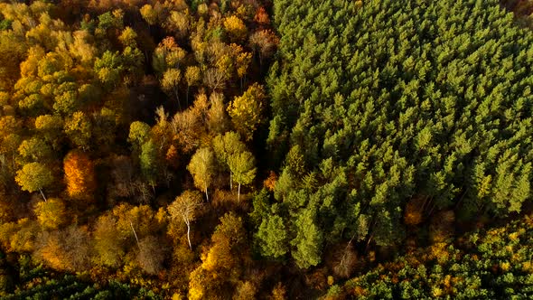 Nature in Autumn Colors