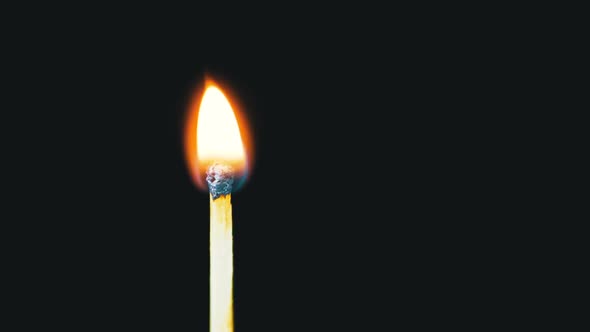 Igniting Match and Flame on a Black Background