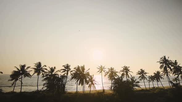Glorious Sunset Scenery In Varkala, India With Palm Trees Lined In The Shore, Calm Sea And Bright Su