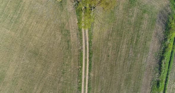 Moving Overhead Over Green Fields and Gravel Paths in Summer Day