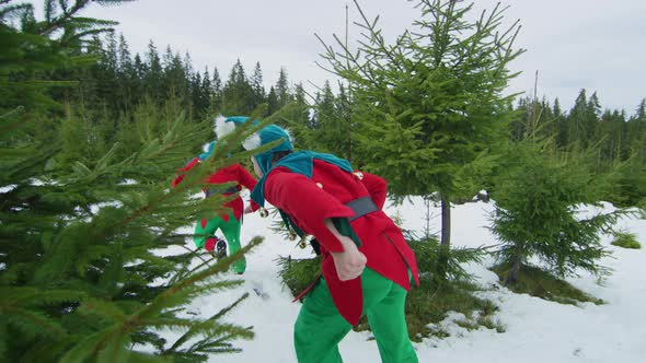 Elves running in the forest