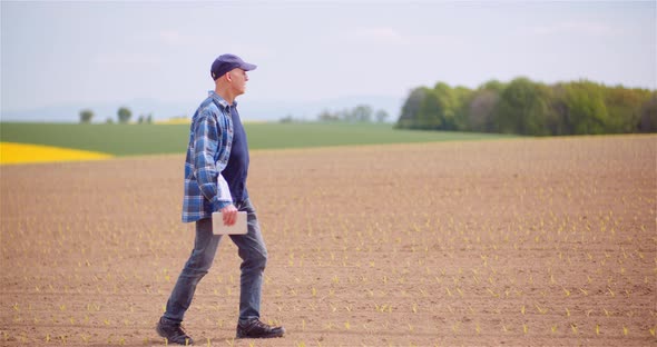 Portrait of Agriculture Farmer Working at Farm