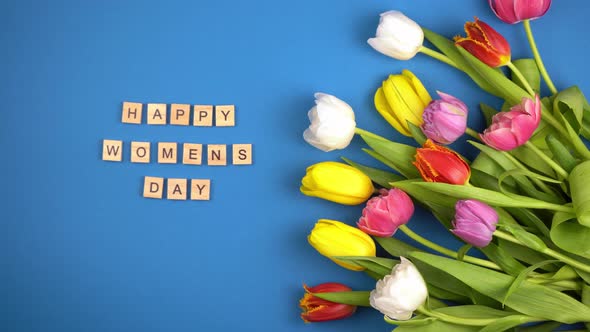 Multicolored Tulips on a Bue Background Top View