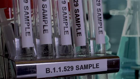 Close up dolly shot of medical test tubes labelled as samples of the new Omicron variant of COVID 19