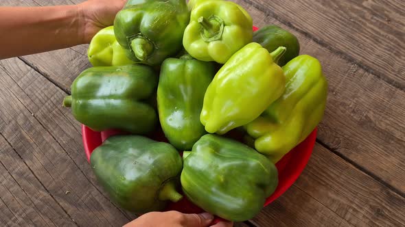 women's hands put green peppers on a tray