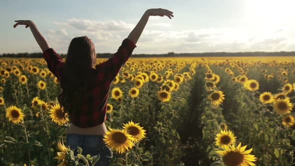 Girl Standing with Arms Raised in Sunflower Field