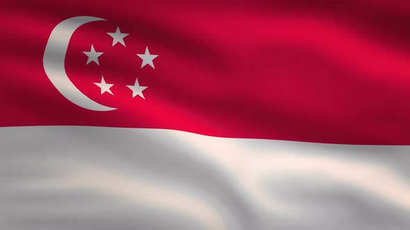 Singapore Windy Flag Background 4K