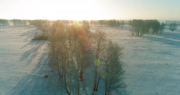 Aerial Drone View of Cold Winter Landscape with Arctic Field, Trees Covered with Frost Snow and