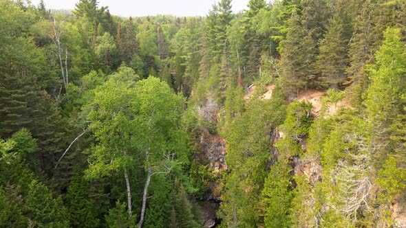 Aerial view beautiful forest located in North Shore Minnesota