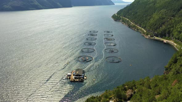 Farm Salmon Fishing in Norway