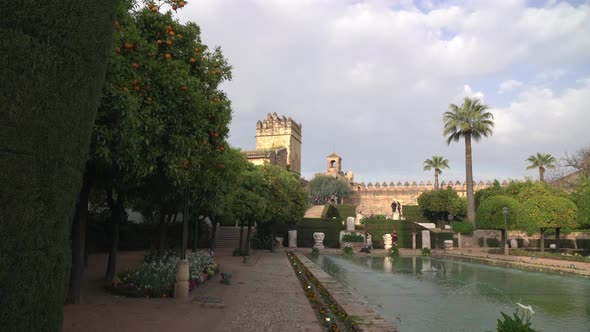 Orange trees and pond in the Gardens of the Alcazar