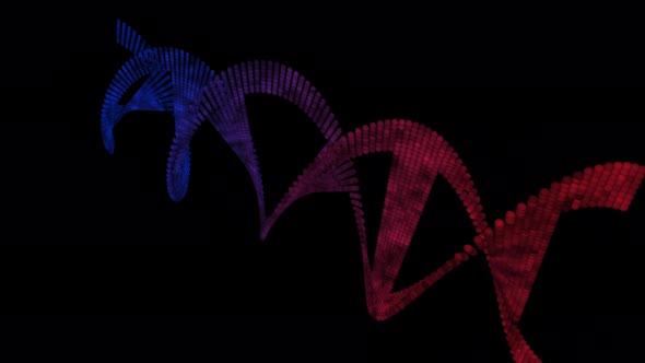 Spinning genetic DNA helix graphic illustration rotating on black background