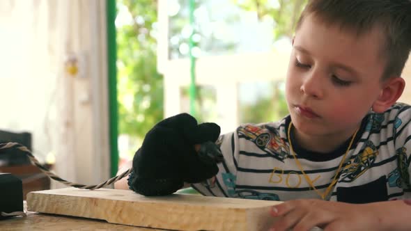 A very diligent 5-7 year-old Caucasian boy is interested in painting on a wooden board. DIY souvenir