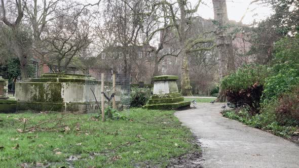 Old victorian mossy park in London.