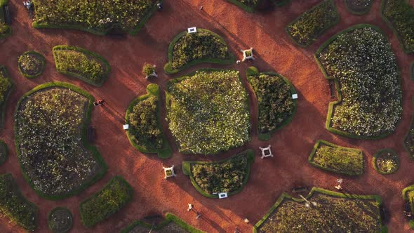 Flowerbeds in Rosedal or rose garden at dusk, Palermo neighborhood at Buenos Aires city, Argentina.