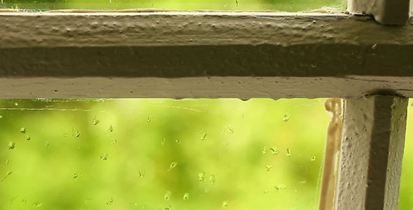  Rain On Window Glass 3