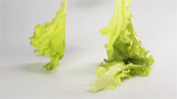 Lettuce Fall on Surface Multiple Times