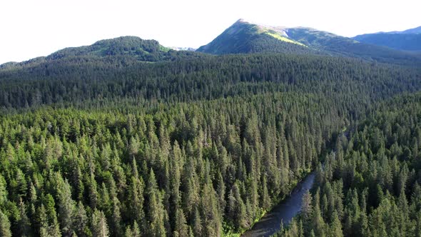 Alaskan pine tree covered wilderness with river and distant mountains