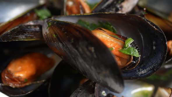 Mussels 22