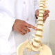 Chiropractor Showing Spine Model To Camera - VideoHive Item for Sale