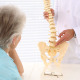 Chiropractor Showing Spine Model To Patient - VideoHive Item for Sale