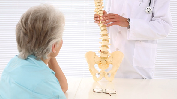 Chiropractor Explaining Spine Model To Patient
