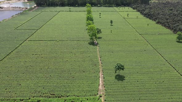 Aerial view of a countryside field, Dhaka, Bangladesh.