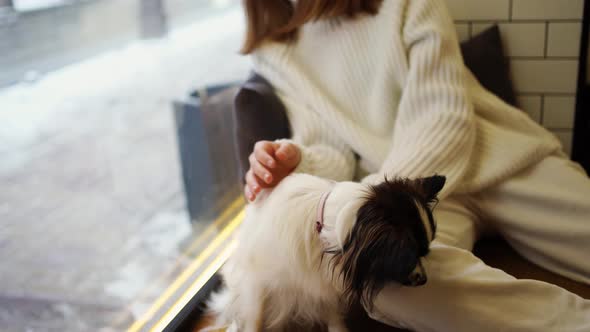 A Beautiful Teenage Girl with a Papillon Dog Sits By a Window in a Cafe