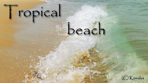 Tropical Beach 2