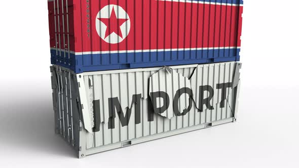 Container with Flag of North Korea Breaking Container with IMPORT Text alt