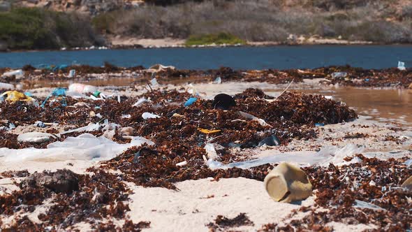 Beach covered in sargassum seaweed with plastic and microplastic, Caribbean