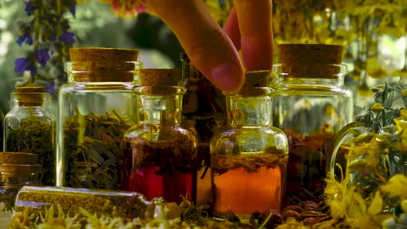 Bottled Herbal Tincture Homeopathy