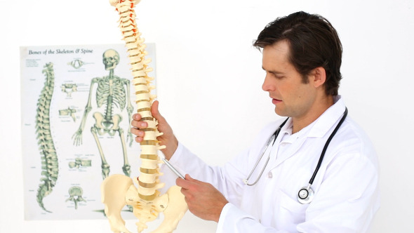 Chiropractor Explaining Spine Model To Camera