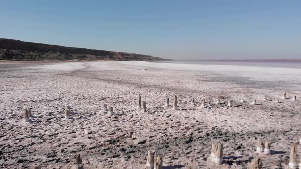 Salty estuary of Ukraine. Wooden posts in salt water. Salt extraction in the 18th century.