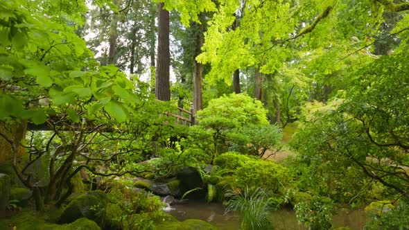 Magnificent Japanese Garden