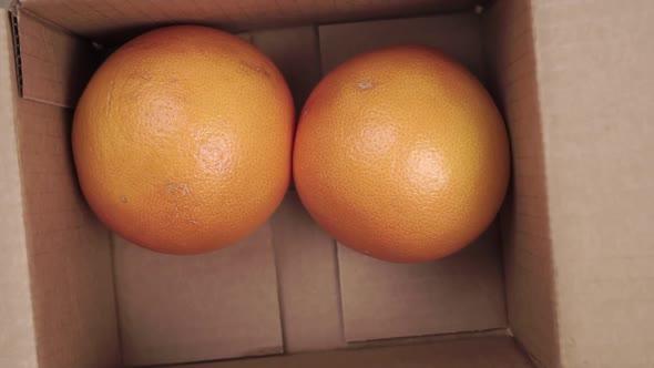 Falling ripe grapefruit fruits into the delivery box