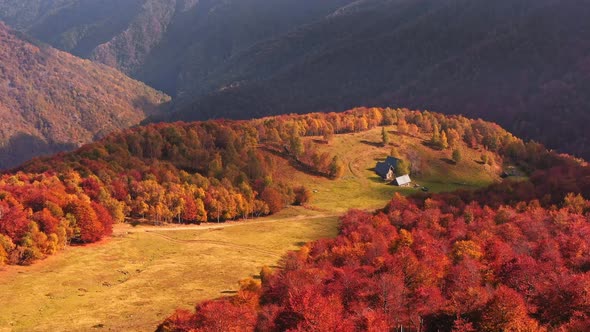 4K Drone shoot, great autumn landscape, Autumn trees