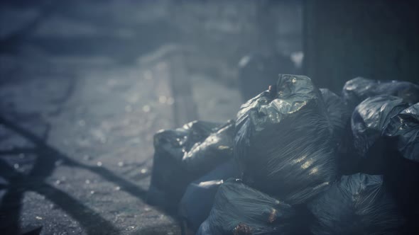 Old Brick Factory at Night alt