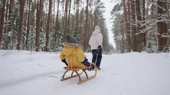 Woman is Running in Winter Forest and Pulling Sledge with Her Little Son Happy Family Weekend