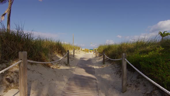 Wooden beach walkway