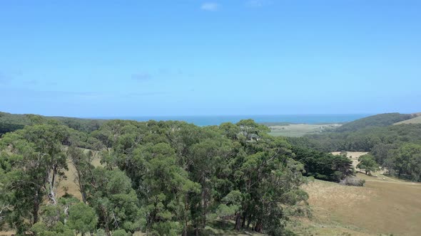 Australian Outback Farmland Aerial Flyover in the Summer