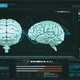 Human brains with data analysis - VideoHive Item for Sale