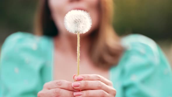Smiling Woman Beautiful Blowing on Ripened Dandelion in Park