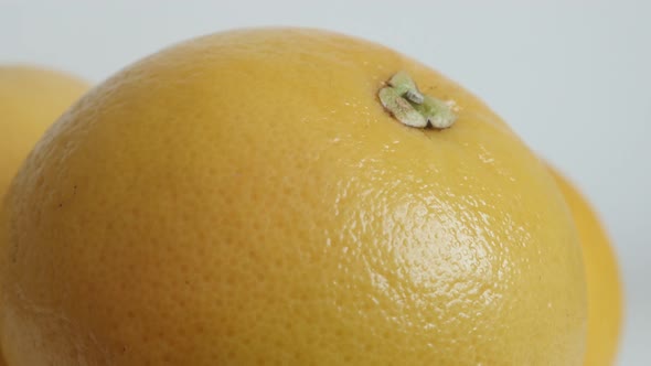 Close-up of grapefruit  Citrus paradisi slow tilting video
