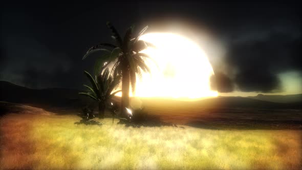 Sunset at Sand Dunes alt