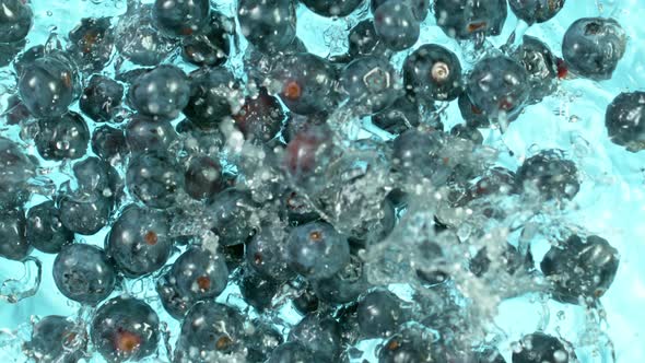 Super Slow Motion Shot of Fresh Blueberries Falling Into Water and Splashing at 1000Fps.