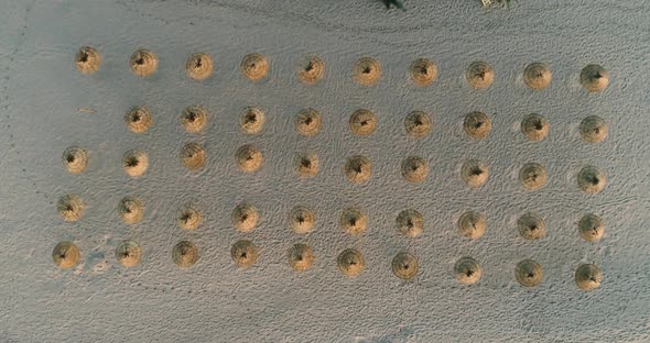 Top down view of beach straw umbrellas at sunrise on the beach. Aerial view above of empty beach wit