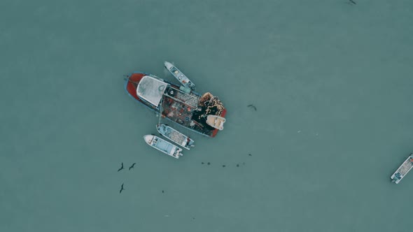 Aerial top view of a fishing boat with a large amount of fish inside